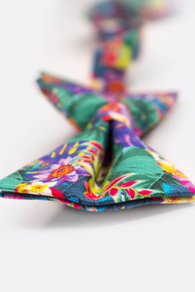 Fliegen Aloha 2